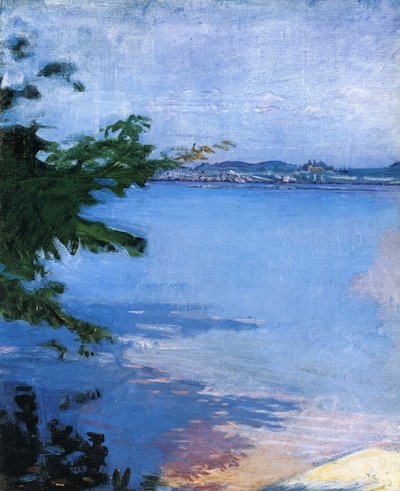Unknown Image by Abbott Handerson Thayer